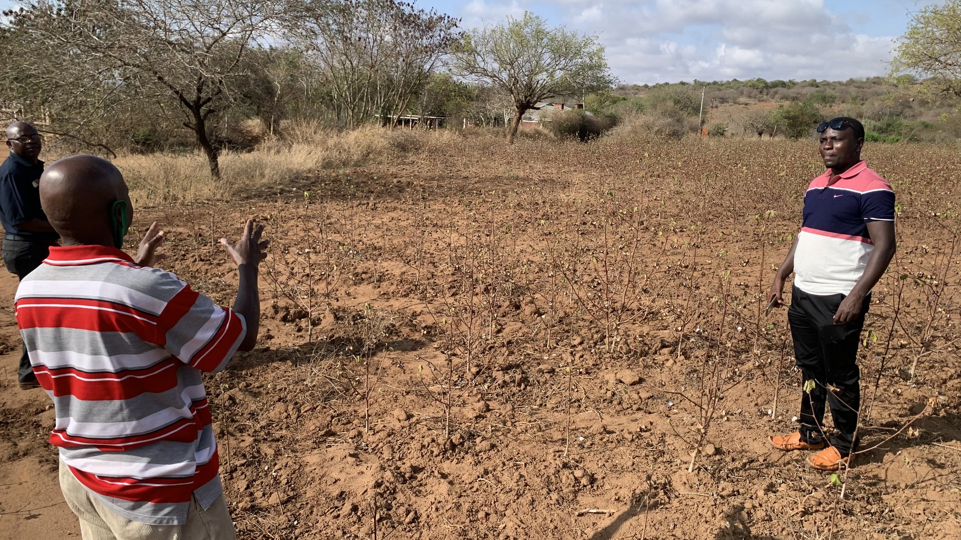 Field team members assessing agricultural conditions in a dryland area